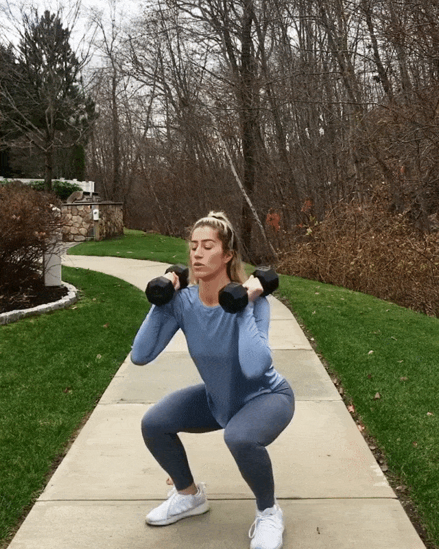  @sovigor 's Full Body Dumbell Workout 